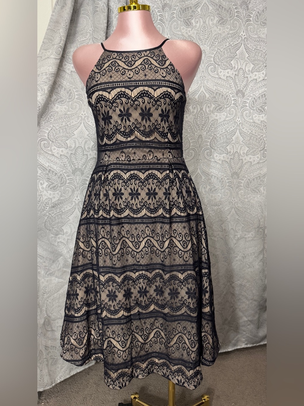 High-Neck Lace Midi Dress in Navy and Cream
